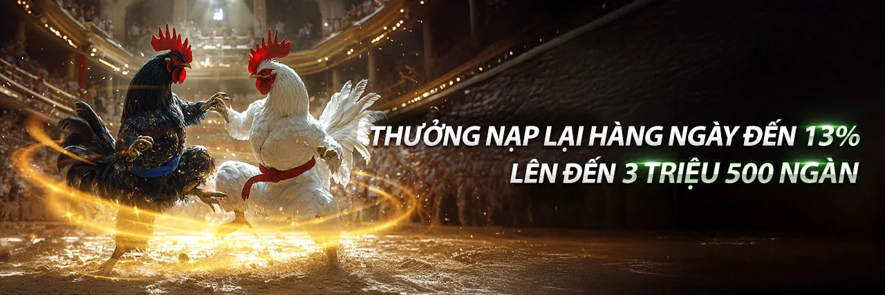 Đá gà giải C1 kịch tính tại Zalv Giải Trí